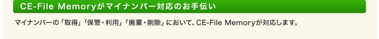 CE-File Memory}Cio[Ή̂`